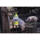 Rescue Fly Trap Max Reusable Fly Trap Image 3
