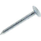 Do it Best 1-1/4 In. 11 ga Hot Galvanized Roofing Nails (6300-Count, 30 Lb.) Image 1
