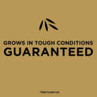 Scotts EZ Seed 10 Lb. 225 Sq. Ft. Patch & Repair for Bermudagrass Mulch, Seed and Fertilizer Combination Image 3