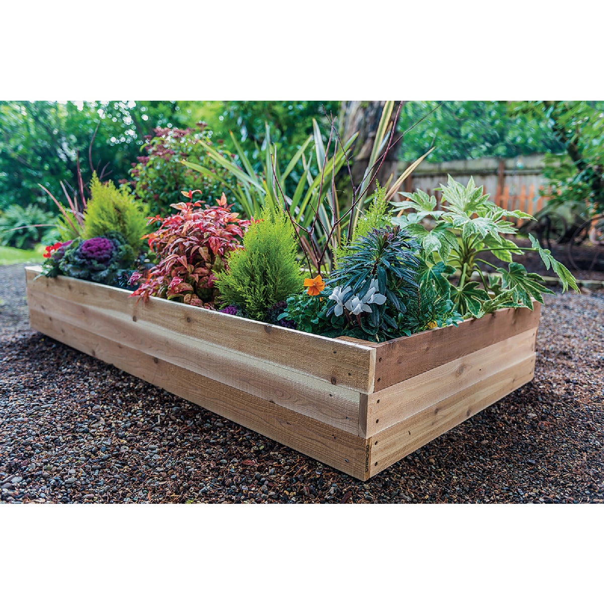 Real Wood Products 3 Ft. x 6 Ft. Cedar Raised Bed