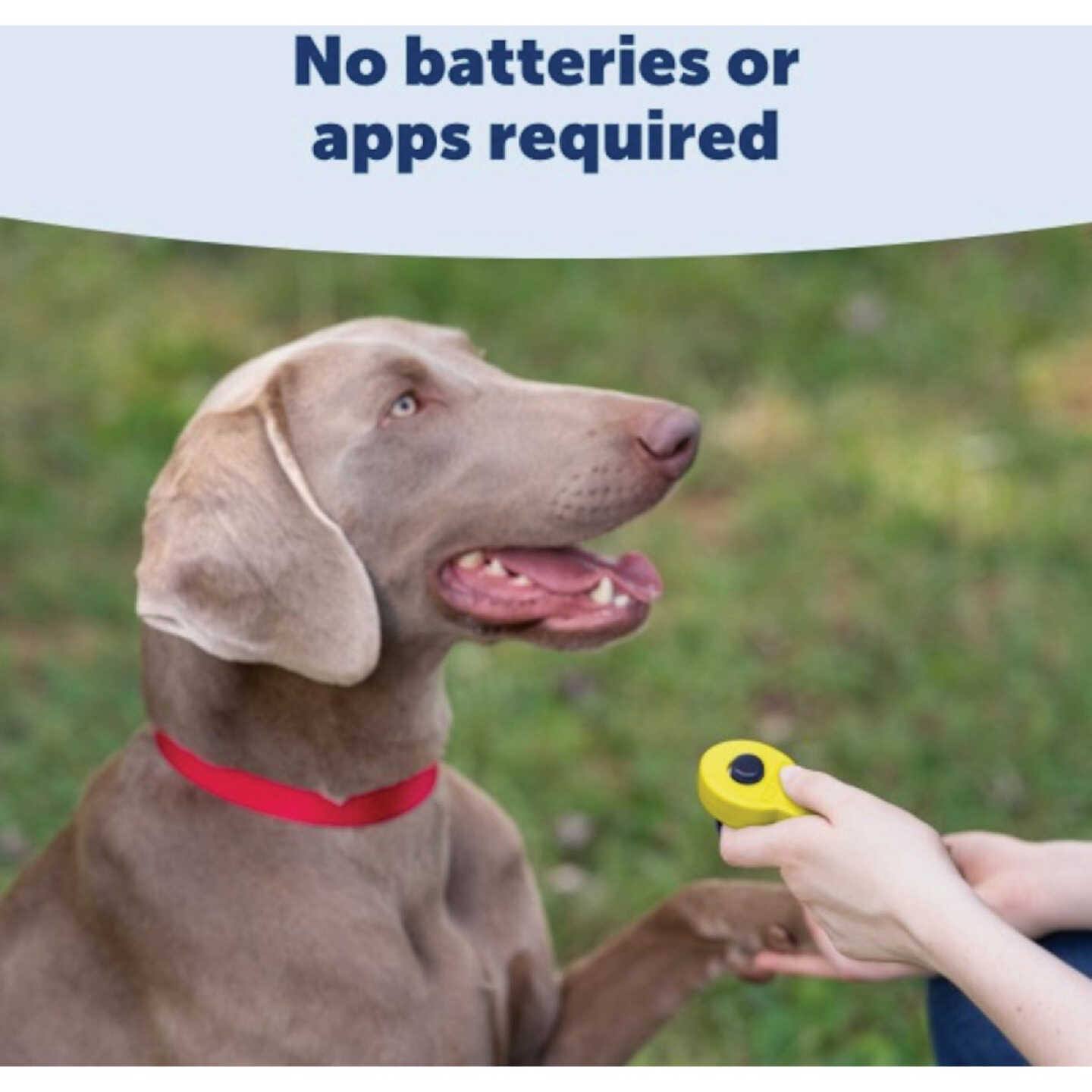 PetSafe Clik-R Training Tool Image 4