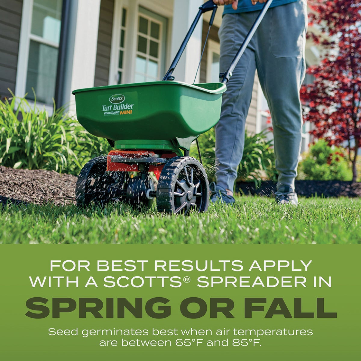 Scotts Turf Builder 2.4 Lb. 200 Sq. Ft. Tall Fescue Mix Grass Seed, Fertilizer, and Soil Improver Combination Image 4