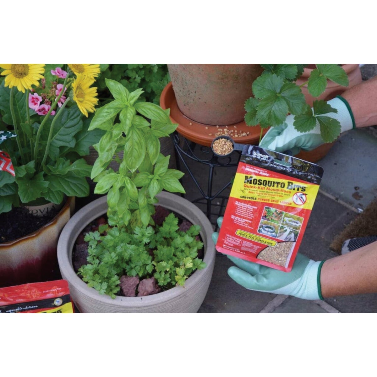 Mosquito Bits 8 Oz. Ready To Use Granules Mosquito Killer Image 2