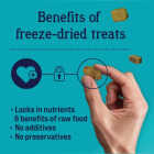 Stewart 3 Oz. Tub Freeze-Dried Chicken Liver Dog Treat Image 4