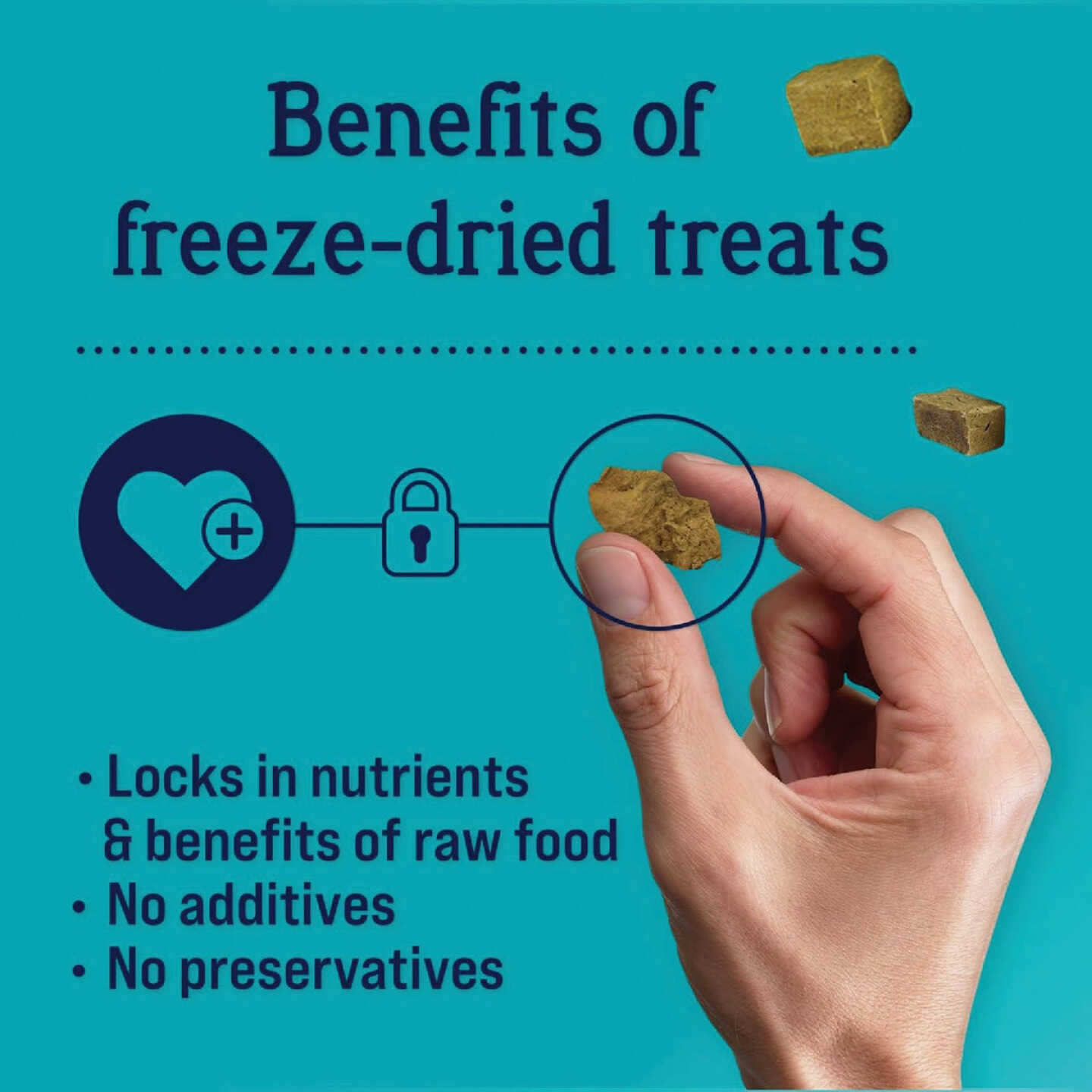 Stewart 3 Oz. Tub Freeze-Dried Chicken Liver Dog Treat Image 4