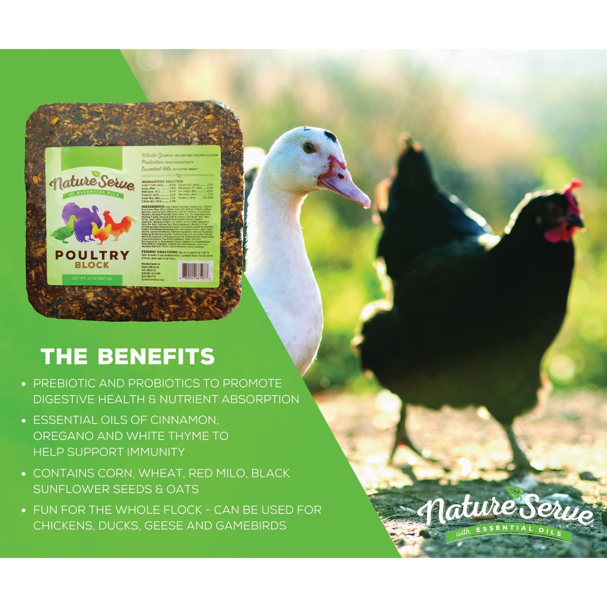NatureServe 20 Lb. Poultry Block Image 2
