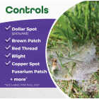Bonide 7.5 Lb. Granules Infuse Lawn & Landscape Systemic Disease Control Image 3