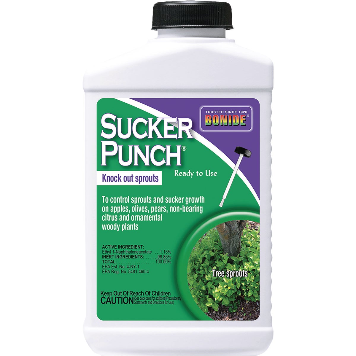 Bonide Sucker Punch, 8 Oz. Ready To Use Sprout Control Liquid with Brush Applicator