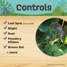 Bonide Captain Jack's 32 Oz. Ready To Spray Hose End Citrus, Fruit & Nut Orchard Spray Image 4