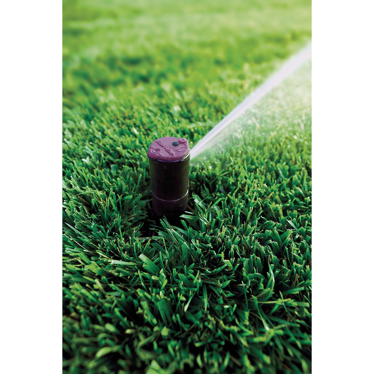 Rain Bird 4 In. Pop-Up Professional Grade Gear Drive Rotor With Purple Cap for Reclaimed (Non-Potable) Water Image 2