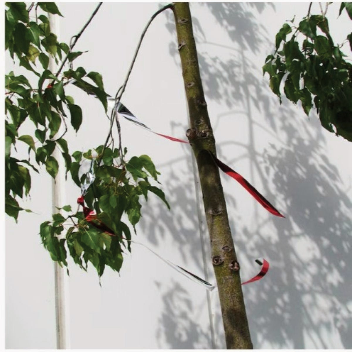 Bird-B-Gone 1 In. x 50 Ft. Mylar Flash Tape Image 3