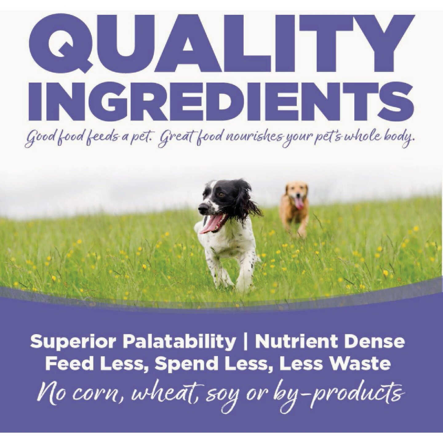 NutriSource 12 Lb. Small & Medium Breed Puppy Food Image 5