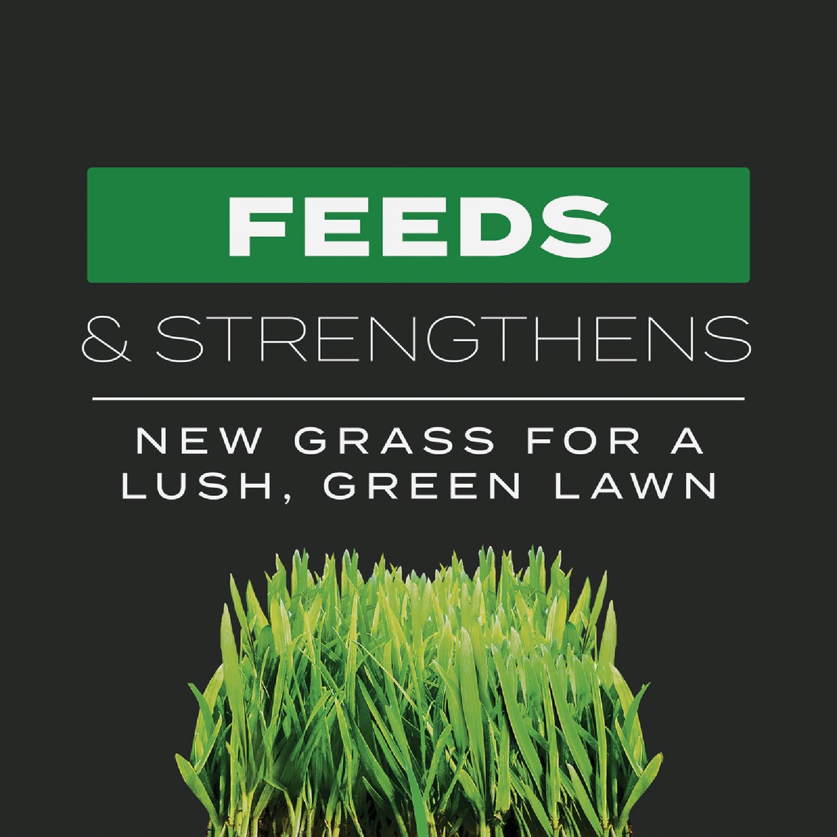 Scotts Turf Builder 17.2 Lb. 4000 Sq. Ft. 21-22-4 Triple Action Built For Seeding Image 4