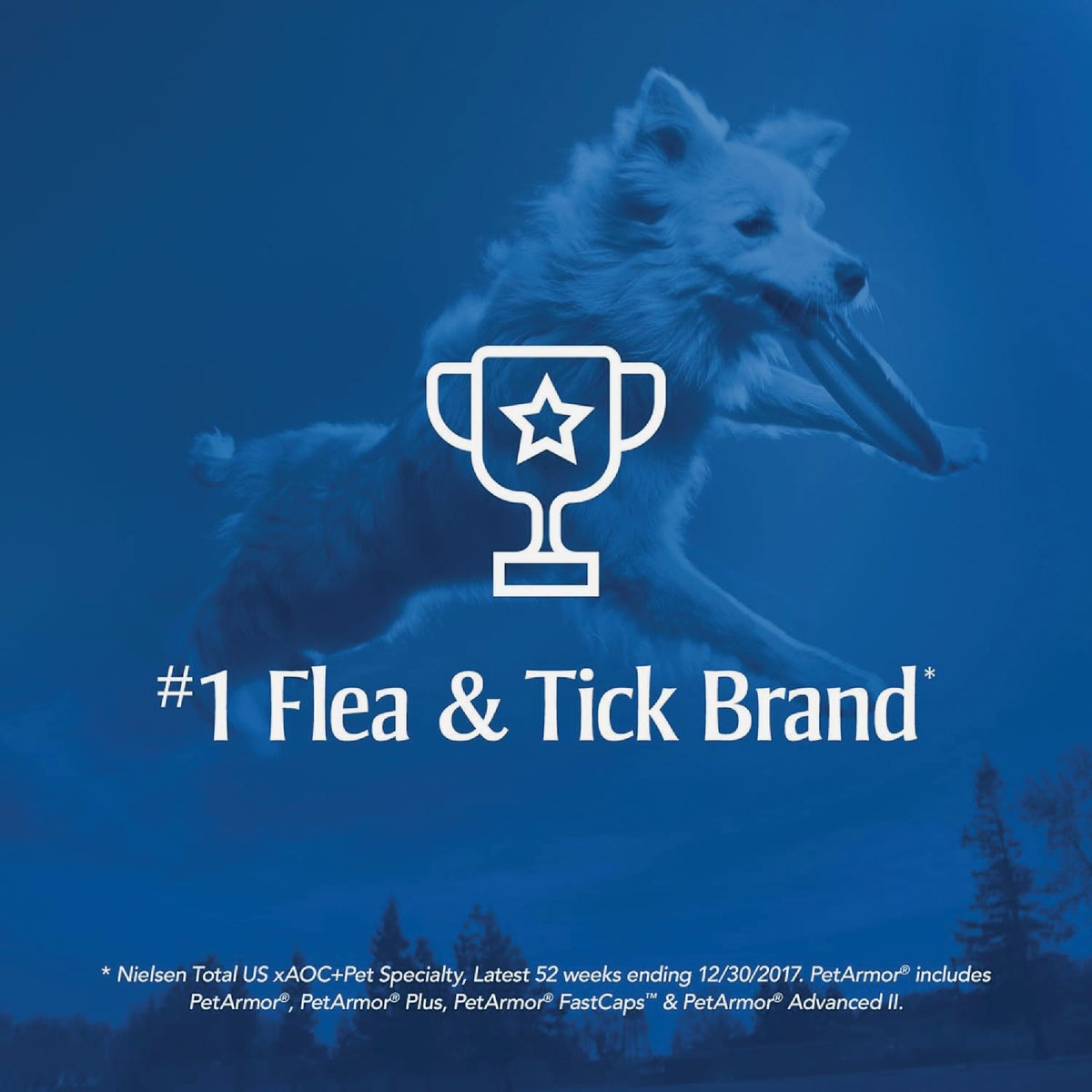 PetArmor Fast Act Plus 16 Oz. Trigger Spray Flea & Tick Treatment for Dogs & Cats Image 5
