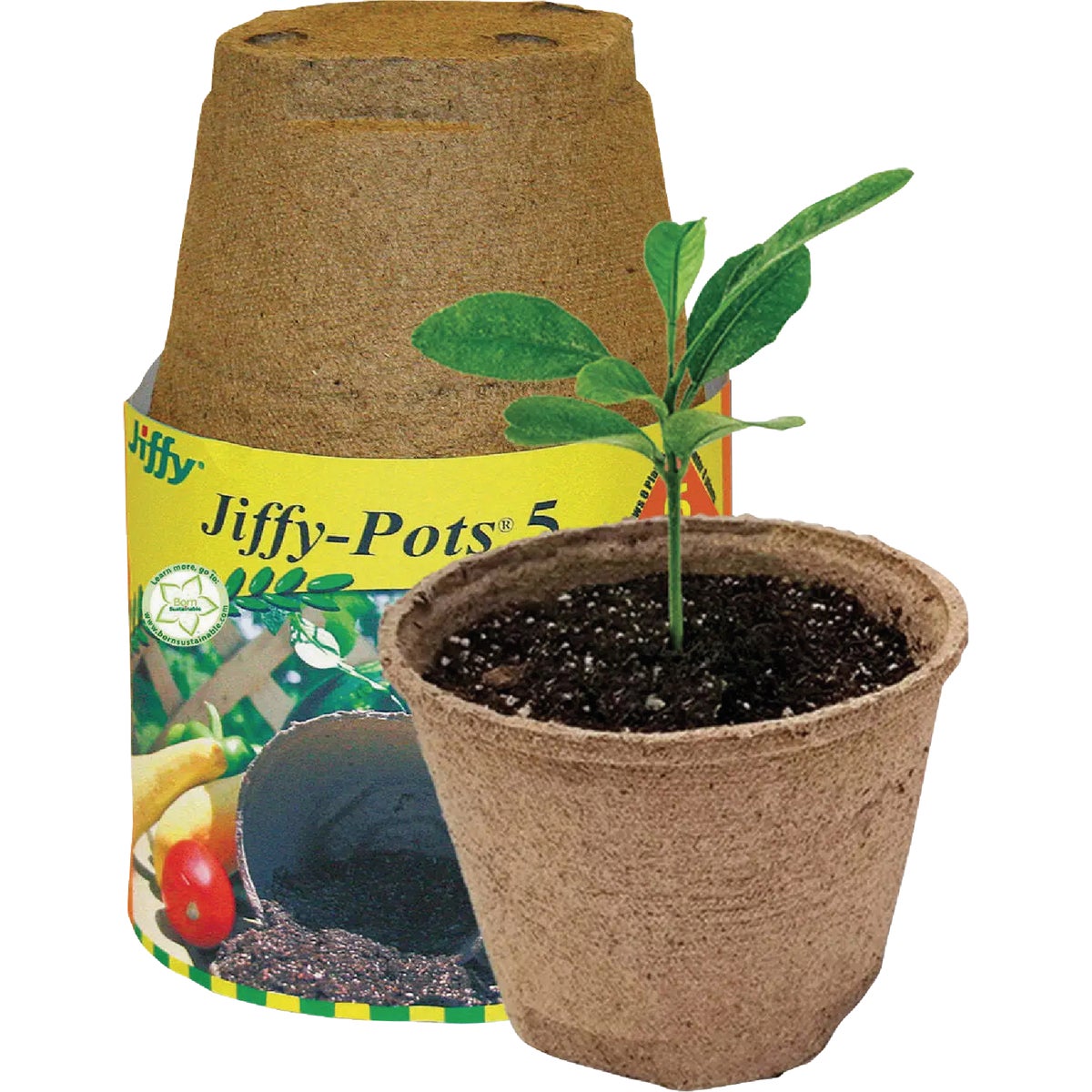 Jiffy 5 In. W. Round Peat Pot (6-Pack)