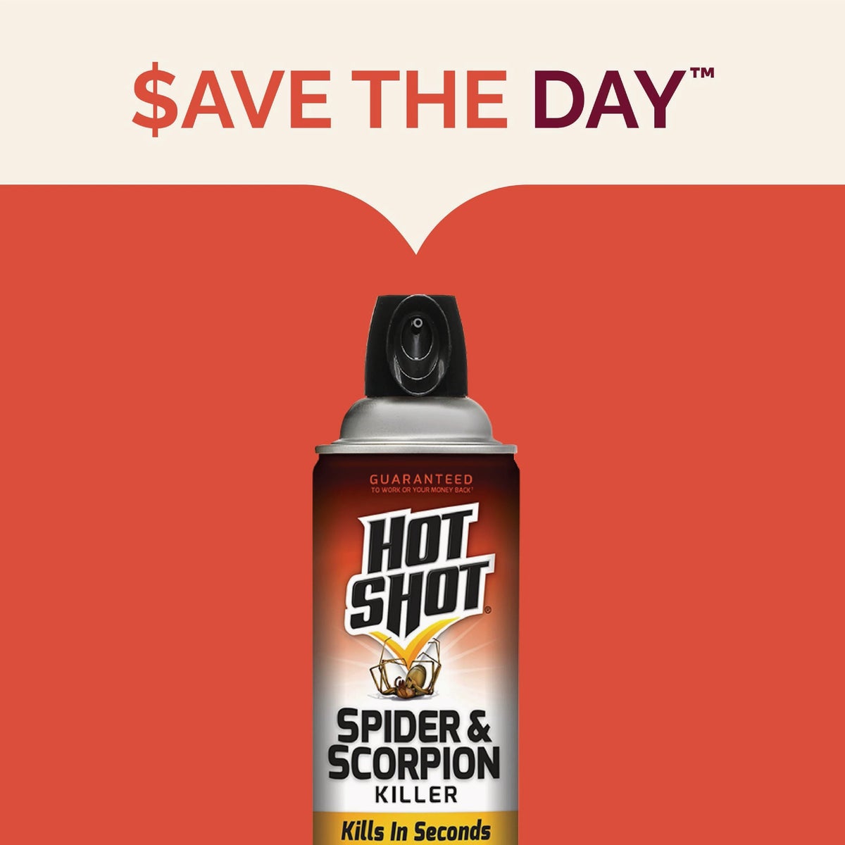 Hot Shot 16 Oz. Aerosol Spray Spider & Scorpion Killer Image 3
