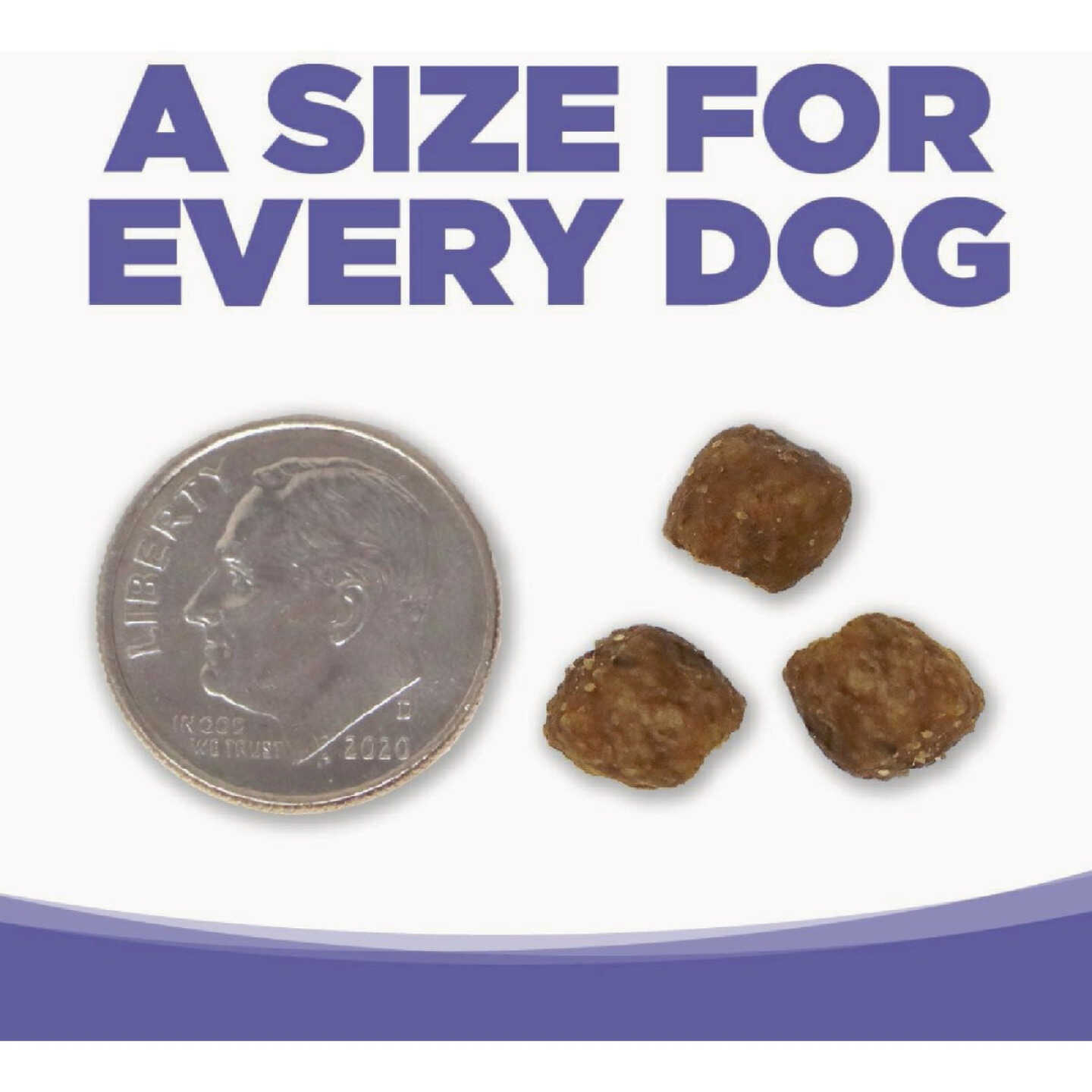 NutriSource Small & Medium Breed 26 Lb. Puppy Food Image 4