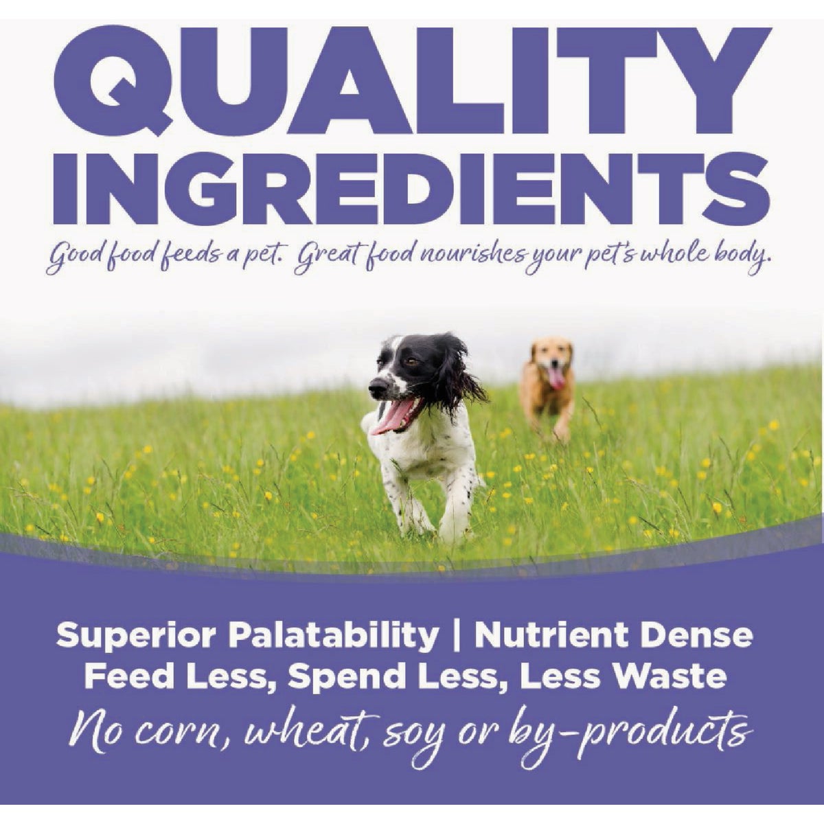 NutriSource Small & Medium Breed 26 Lb. Puppy Food Image 2