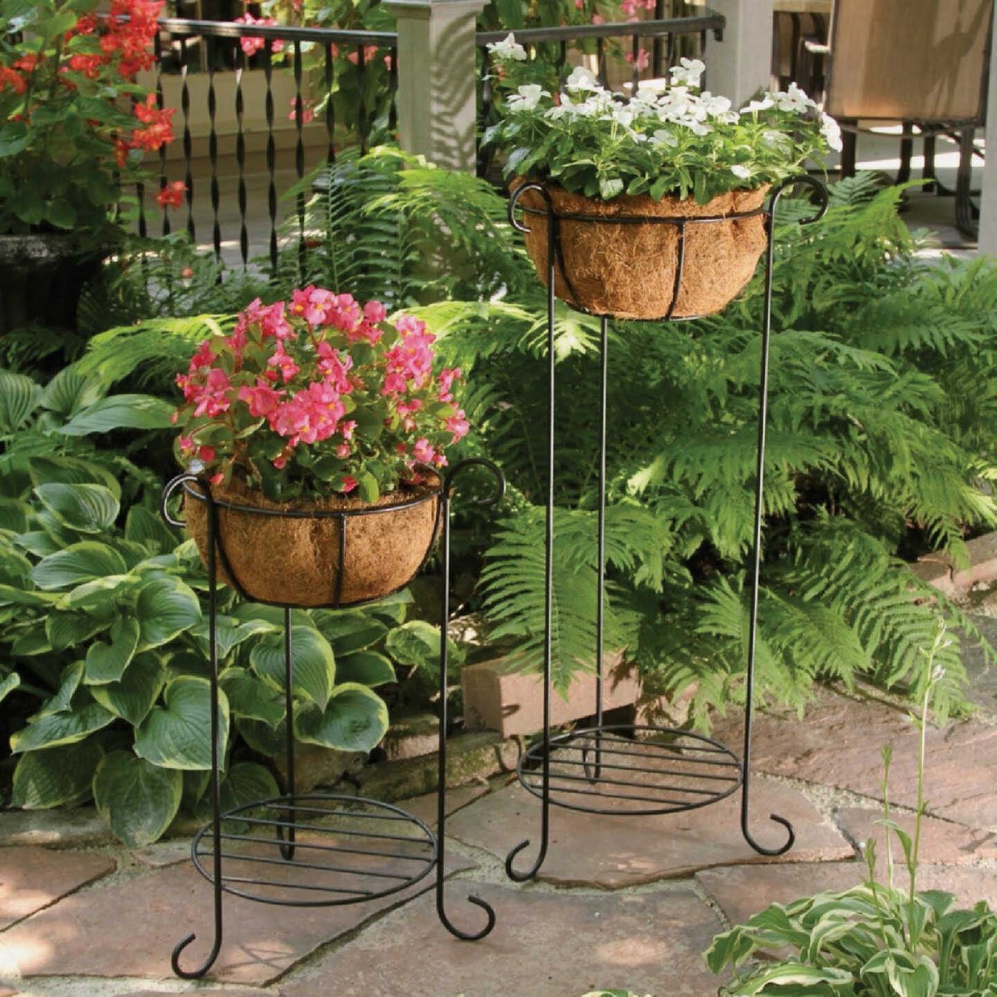 American Gardenworks 36 In. H. Black Powder Coated Steel Plant Stand Image 2
