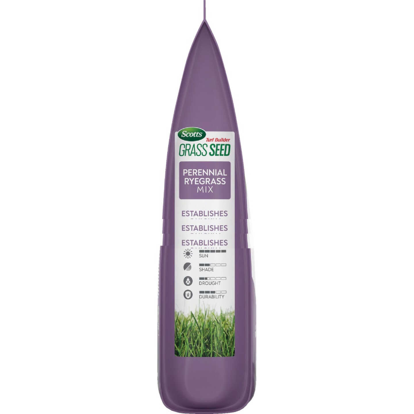 Scotts Turf Builder 2.4 Lb. 200 Sq. Ft. Perennial Ryegrass Mix Grass Seed, Fertilizer, and Soil Improver Combination Image 9