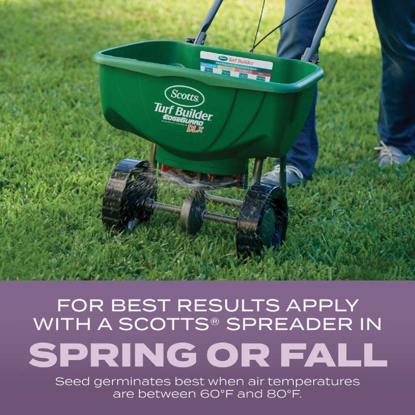 Scotts Turf Builder 2.4 Lb. 200 Sq. Ft. Perennial Ryegrass Mix Grass Seed, Fertilizer, and Soil Improver Combination Image 5
