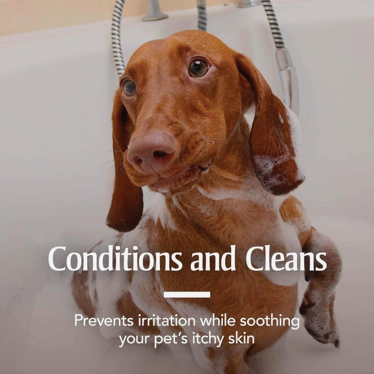 PetArmor Plus 18 Oz. Tropical Breeze Scent Flea & Tick Oatmeal Dog Shampoo Image 7