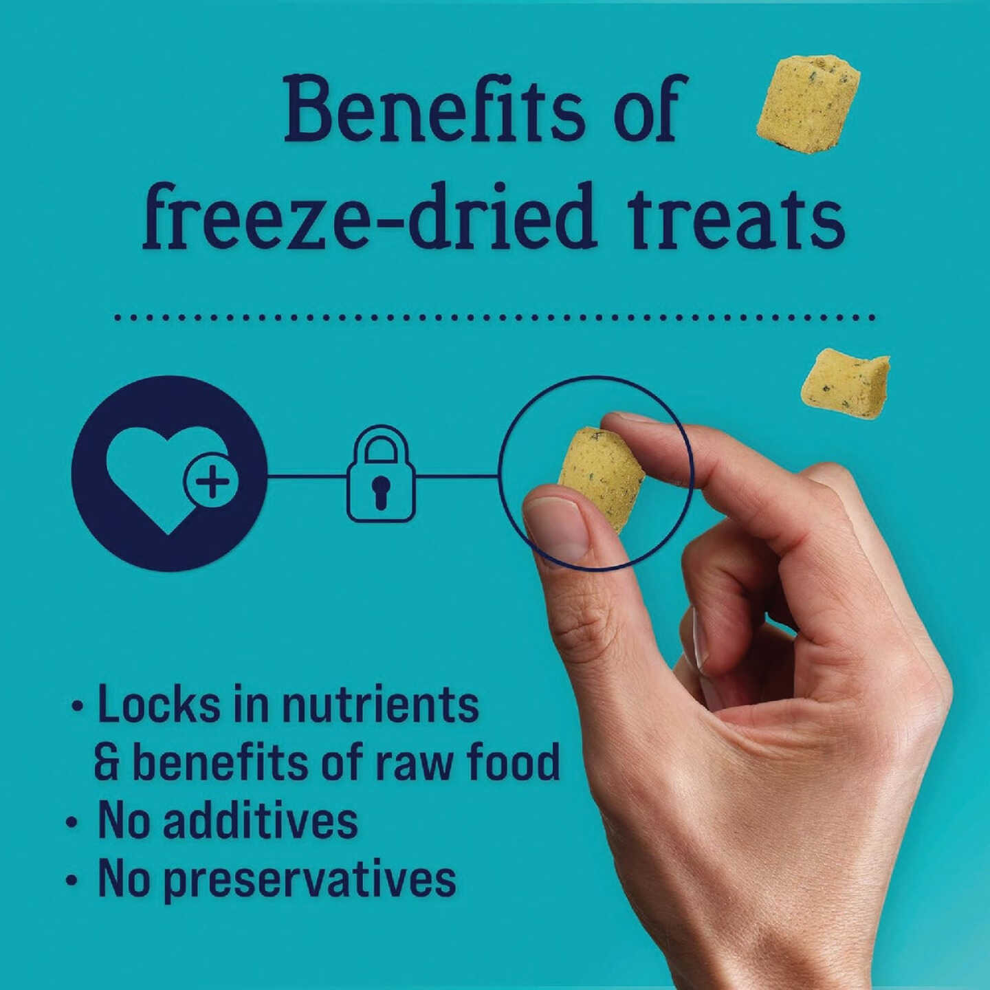 Stewart Focus 4 Oz. Freeze-Fried Salmon Dog Treat Image 3