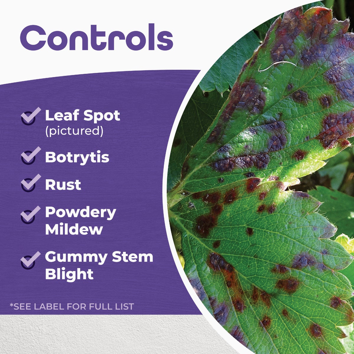 Bonide 32 Oz. Ready To Use Trigger Spray All Season Horticultural & Dormant Spray Oil Image 5