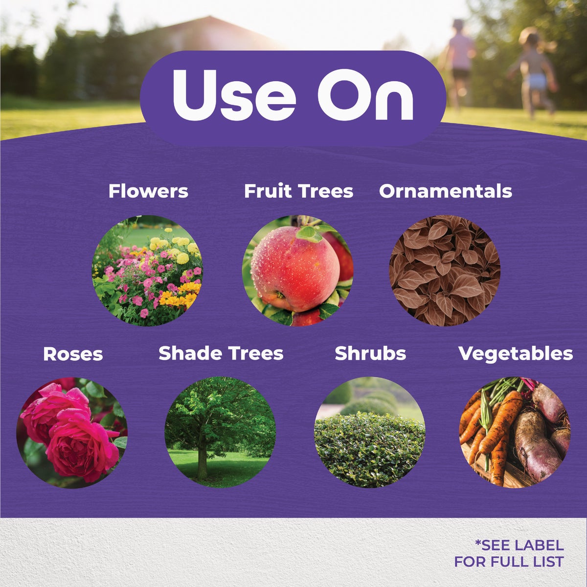 Bonide 32 Oz. Ready To Use Trigger Spray All Season Horticultural & Dormant Spray Oil Image 2