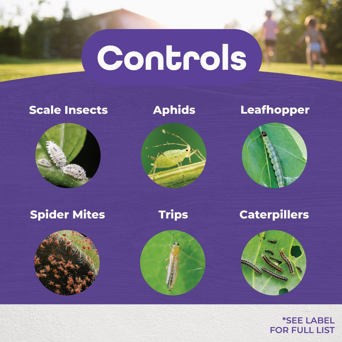 Bonide 32 Oz. Ready To Use Trigger Spray All Season Horticultural & Dormant Spray Oil Image 3