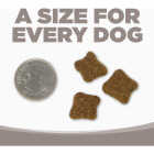 NutriSource 26 Lb. Senior Chicken & Rice Recipe Dog Food Image 5