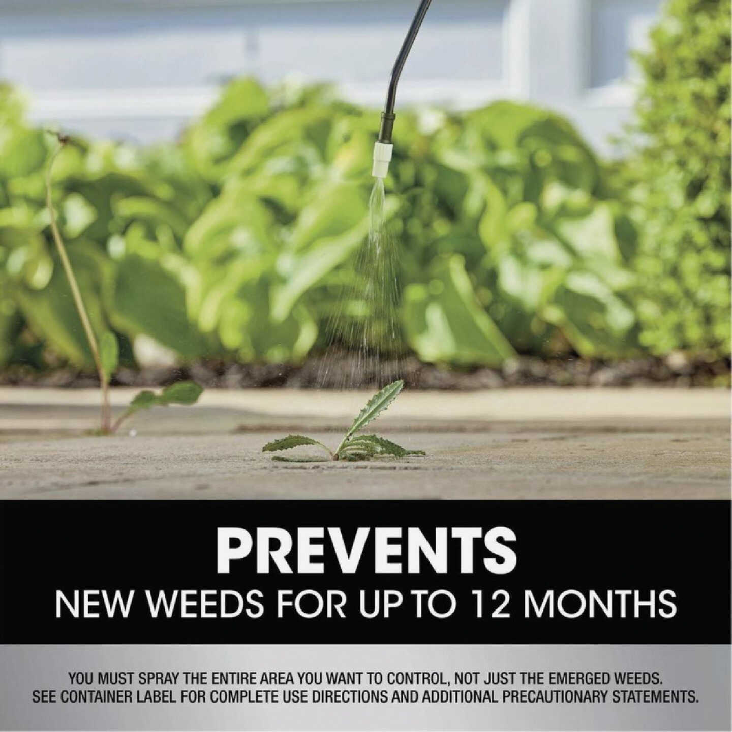 Roundup Dual Action 365 32 Oz. Exclusive Formula Concentrate Weed & Grass Killer Image 3