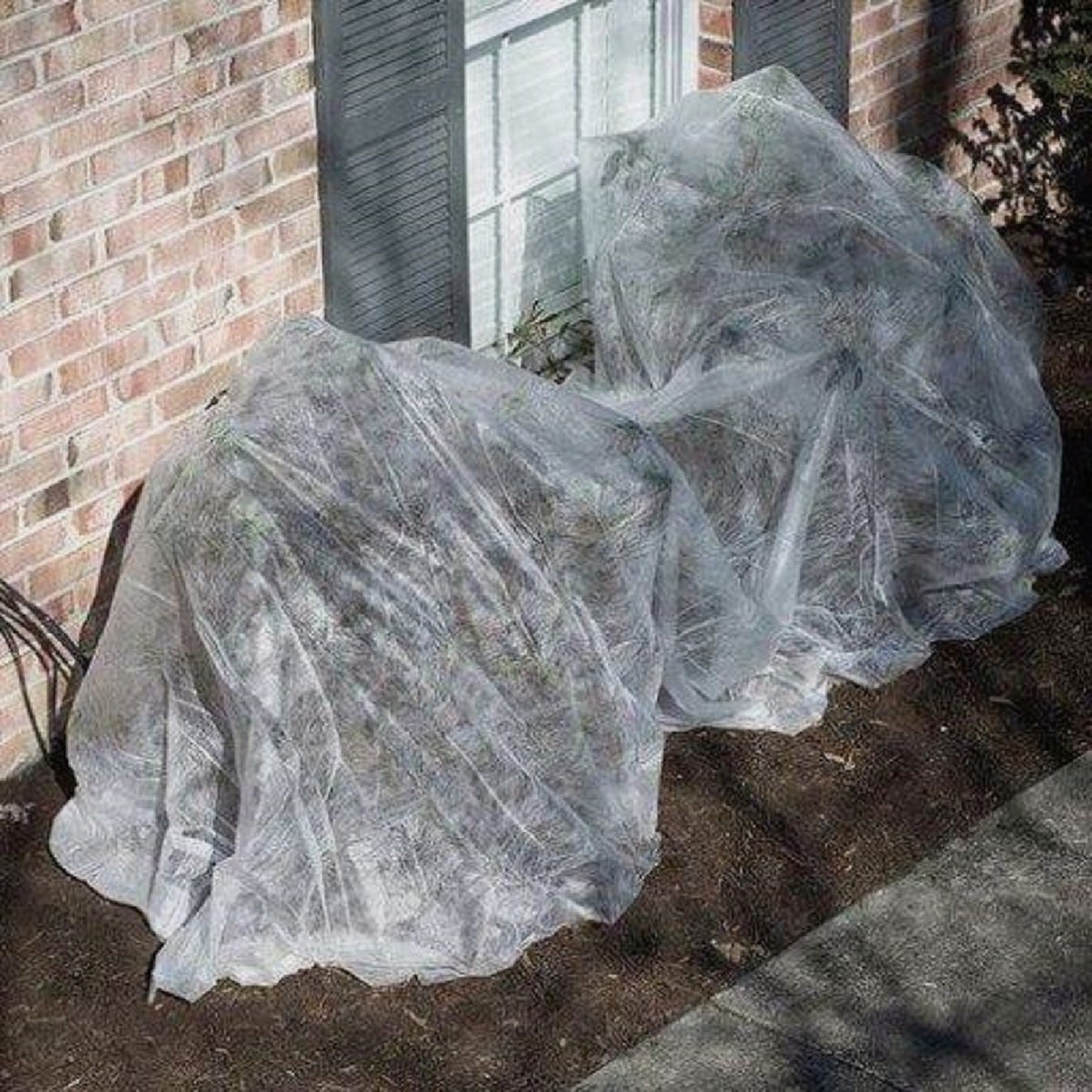 Dalen Insect Guard 5 Ft. x 40 Ft. Protective Garden Cover Image 2