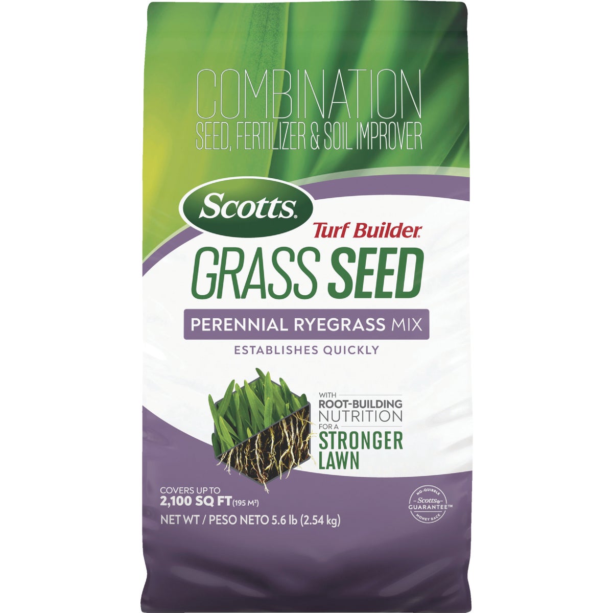 Scotts Turf Builder 5.6 Lb. 700 Sq. Ft. Perennial Ryegrass Mix Grass Seed, Fertilizer, and Soil Improver Combination Image 1