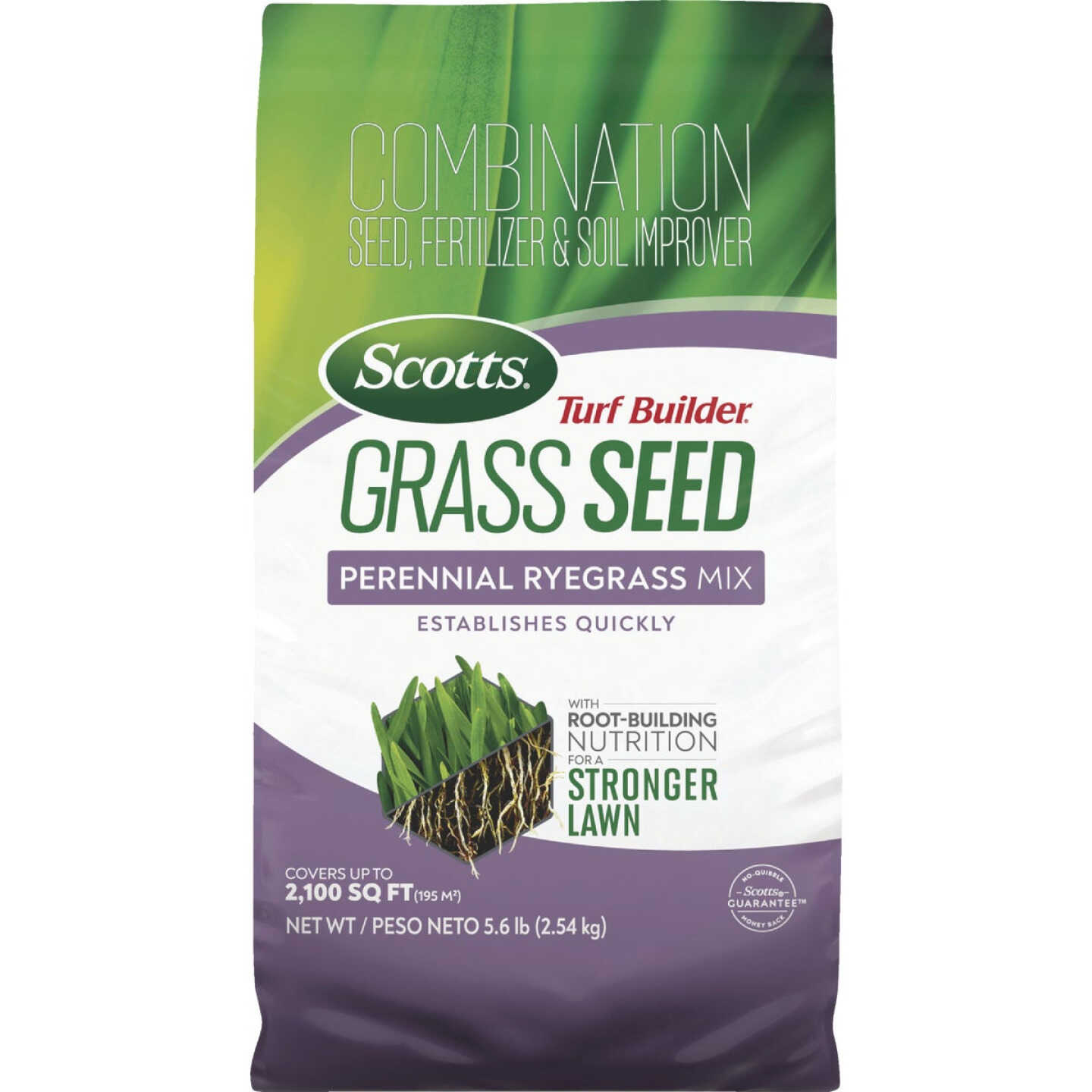 Scotts Turf Builder 5.6 Lb. 700 Sq. Ft. Perennial Ryegrass Mix Grass Seed, Fertilizer, and Soil Improver Combination Image 1