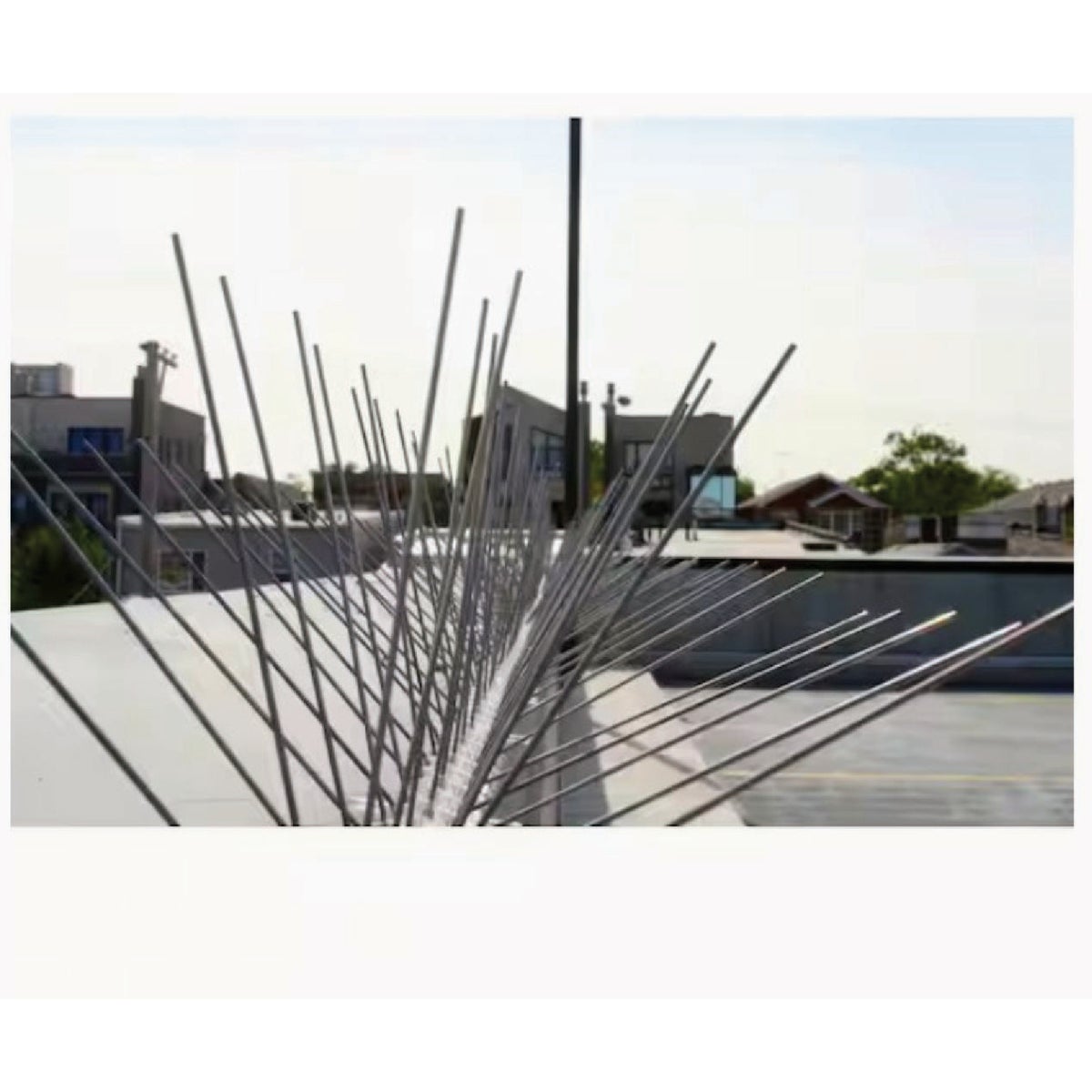 Bird-B-Gone 5 In. x 50 Ft. Stainless Steel Bird Repelling Spikes Image 3
