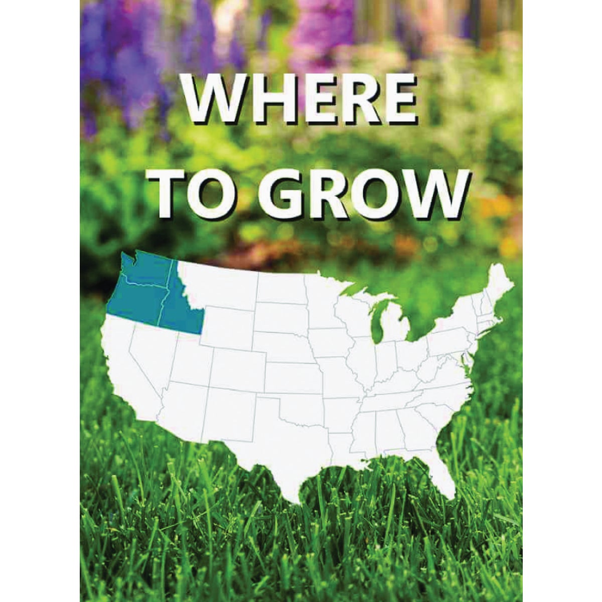 Jonathan Green Black Beauty Pacific Northwest 7 Lb. 5250 Sq. Ft. Coverage Tall Fescue Grass Seed Image 2