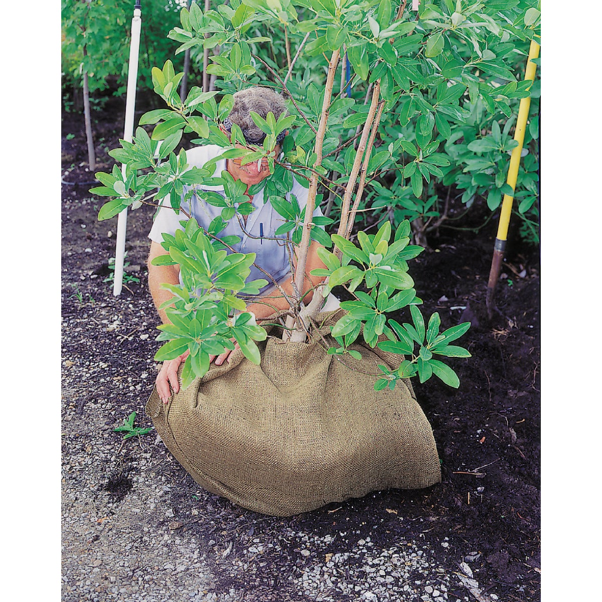DeWitt 3 Ft. W. x 24 Ft. L. Natural Burlap Image 2