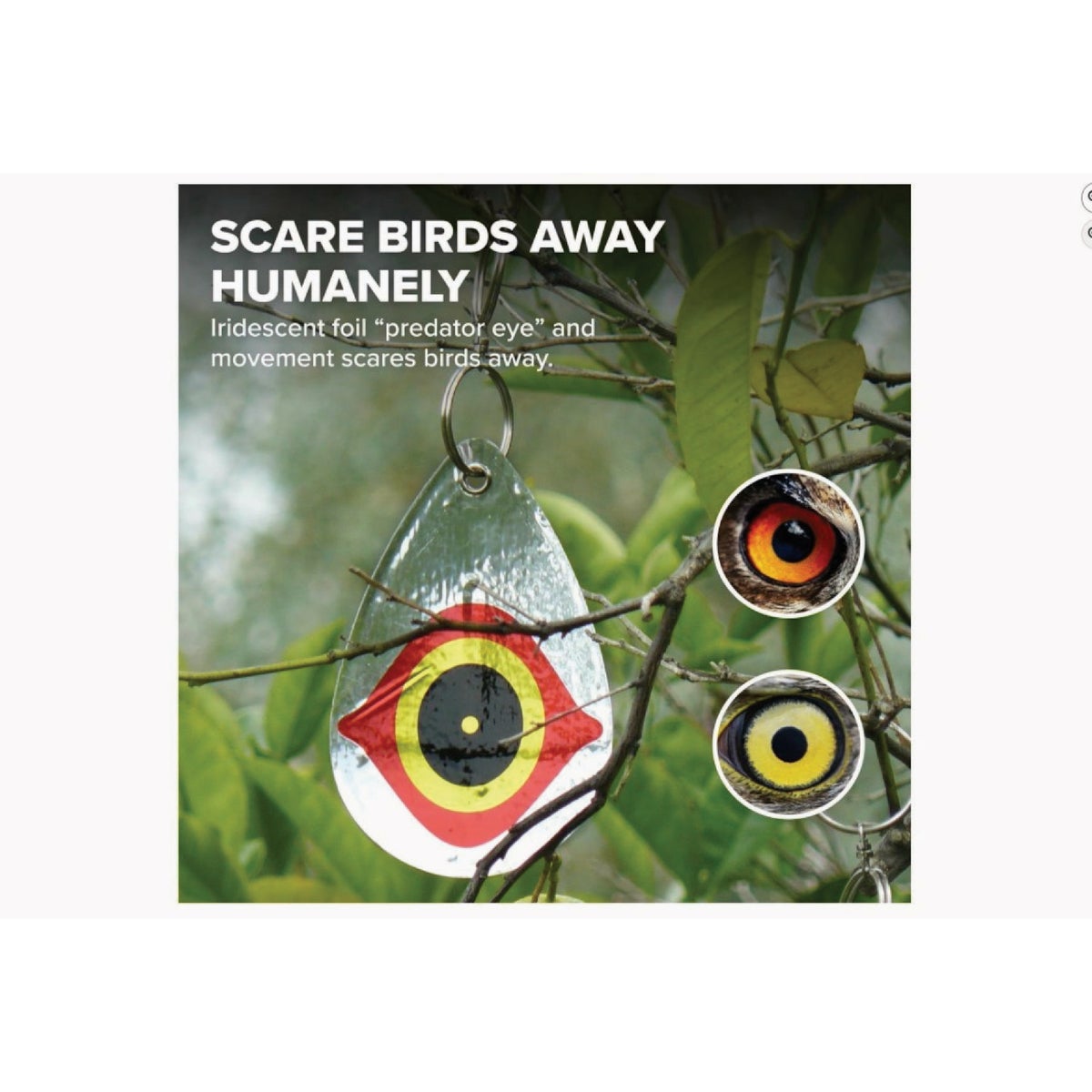 Bird-B-Gone Reflective Scare Bird Diverter (5-Pack) Image 1