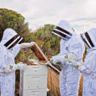 Harvest Lane Honey Beginner Beekeeping Tool/Accessory Kit Image 2