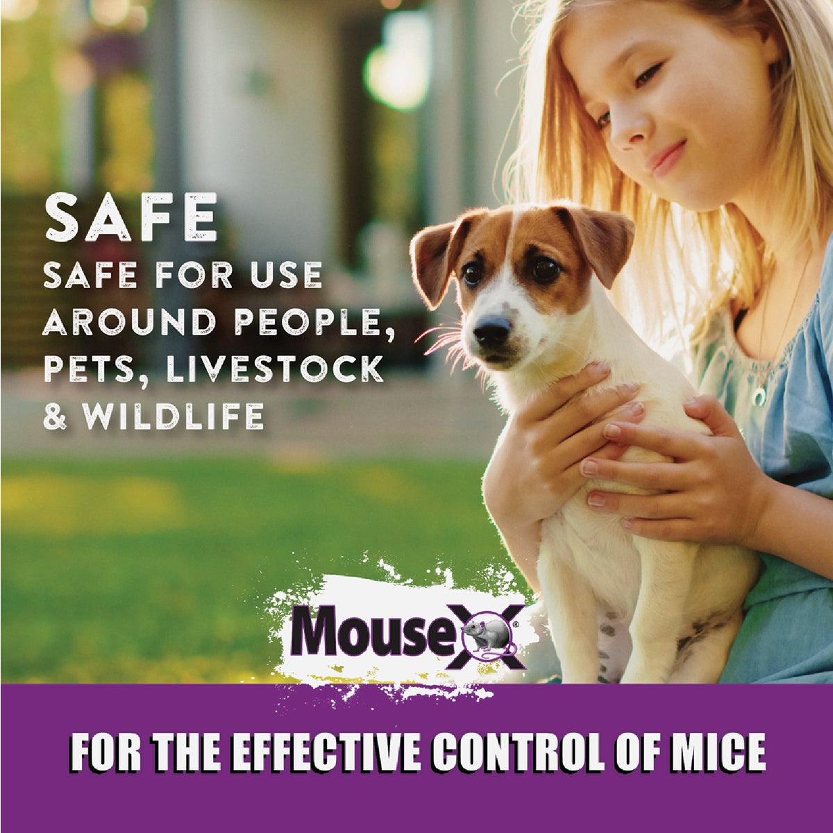 MouseX Pellet Throw Pack Mouse Killer (6-Pack) Image 2