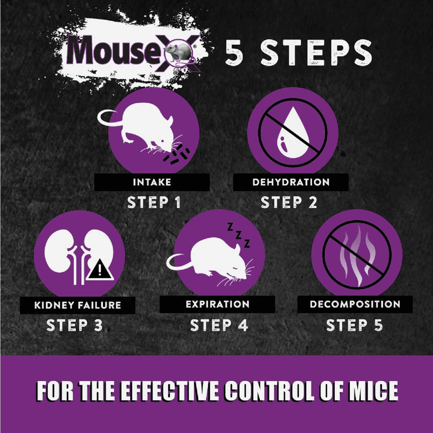 MouseX Pellet Throw Pack Mouse Killer (6-Pack) Image 4