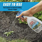 Ortho GroundClear Super 24 Oz. Trigger Spray Weed & Grass Killer Image 7