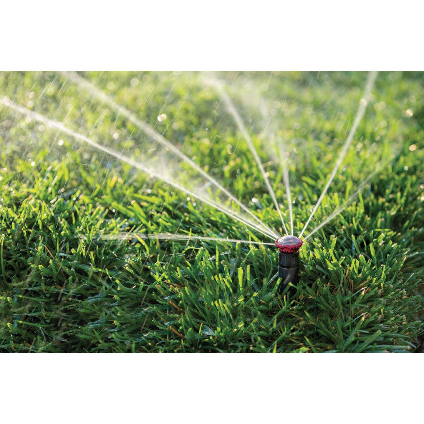 Rain Bird High Efficiency Full Pattern Rotary Nozzle Image 2