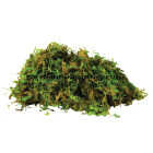 Mossify 5.3 Oz. Premium Natural Forest Moss Image 2