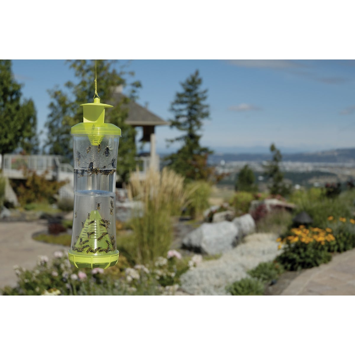 Rescue WHY Reusable Wasp, Hornet, & Yellow Jacket Trap Image 4