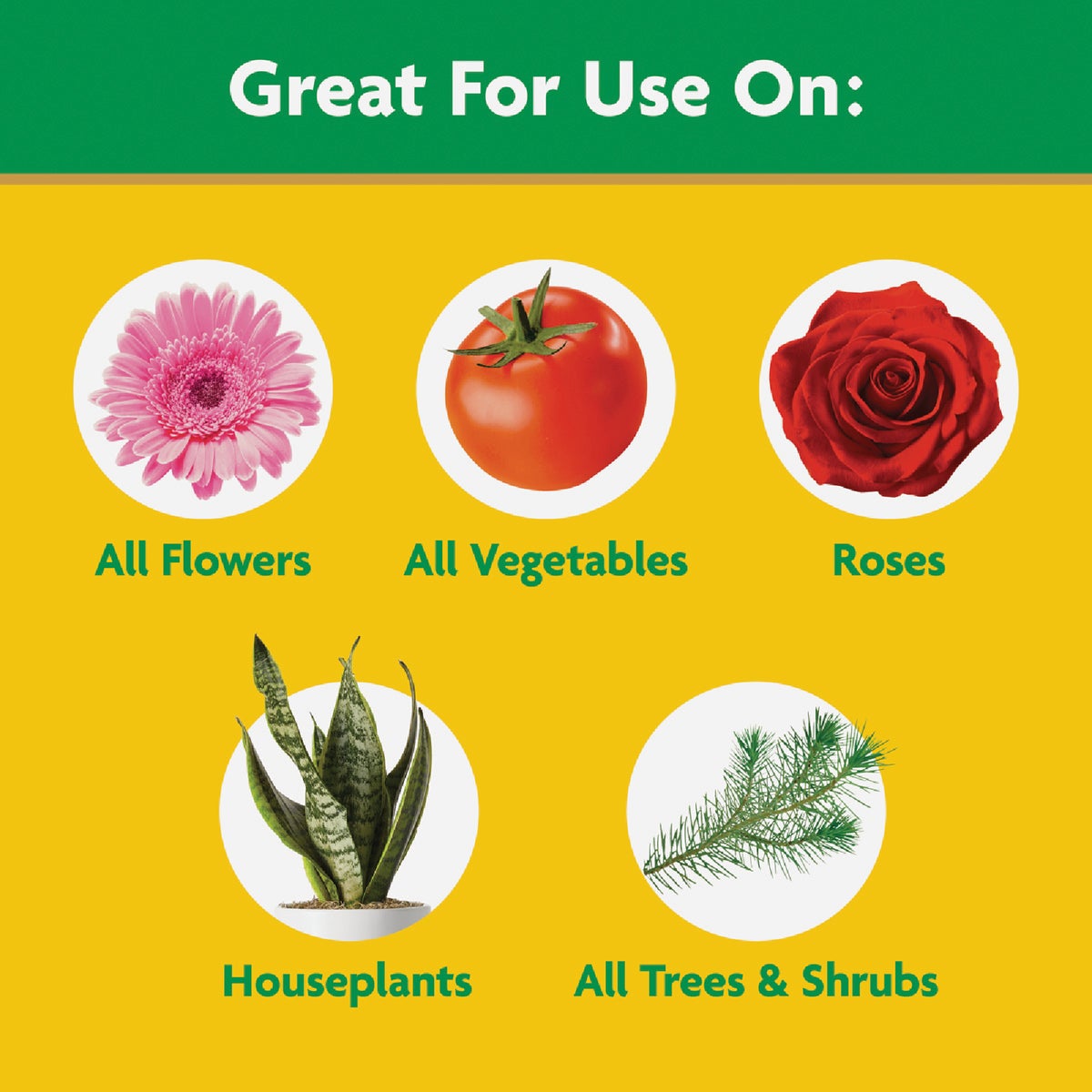 Miracle-Gro 10 Lb. Water Soluble All Purpose Plant Food Image 4