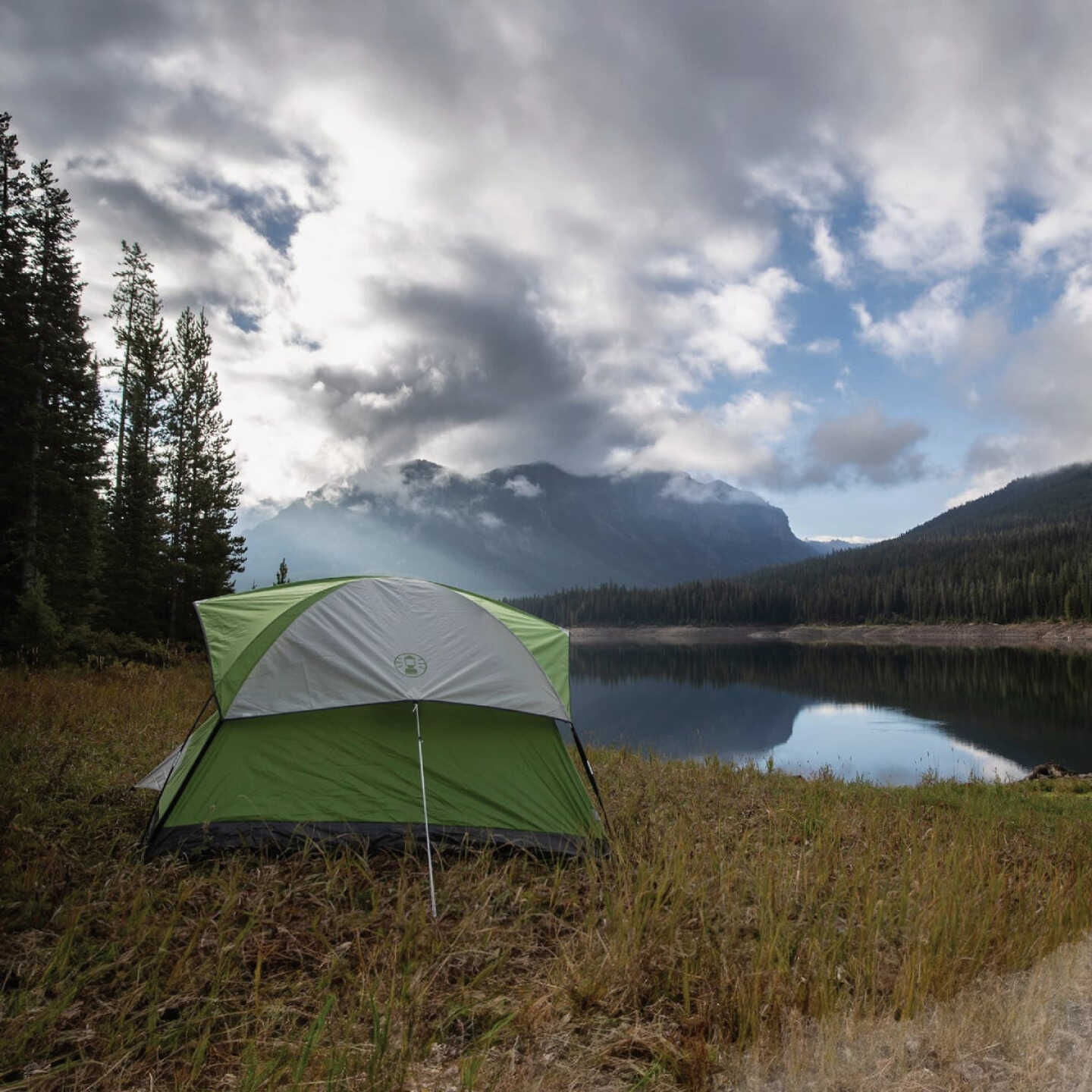 Coleman 4-Person Sundome Dome Camping Tent Image 4