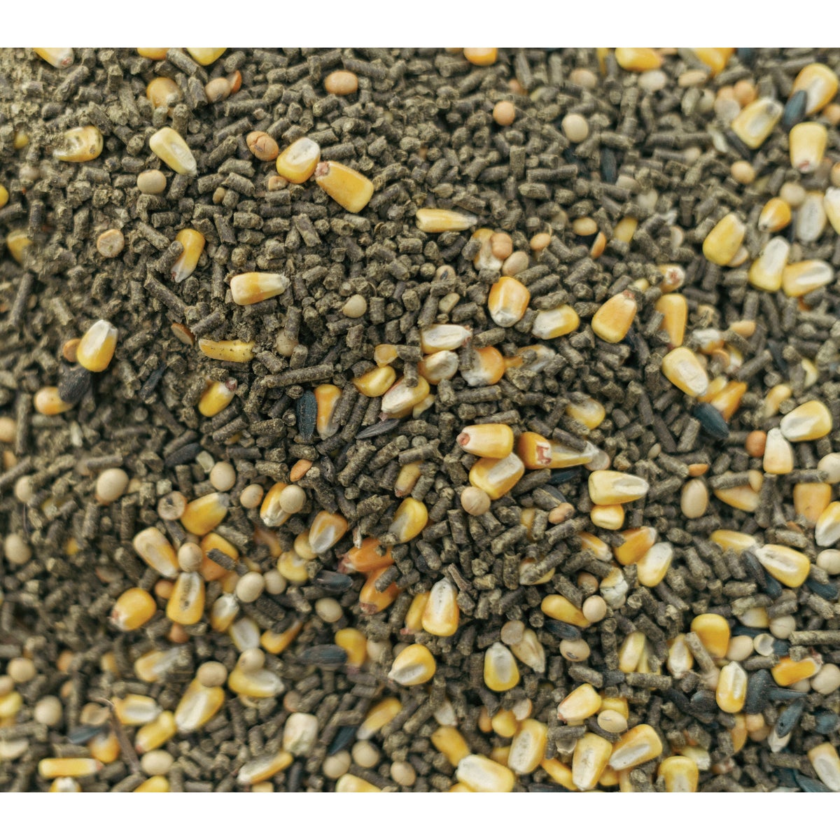 Big Buck Magnet The Harvest Blend 40 Lb. Deer Feed Image 3