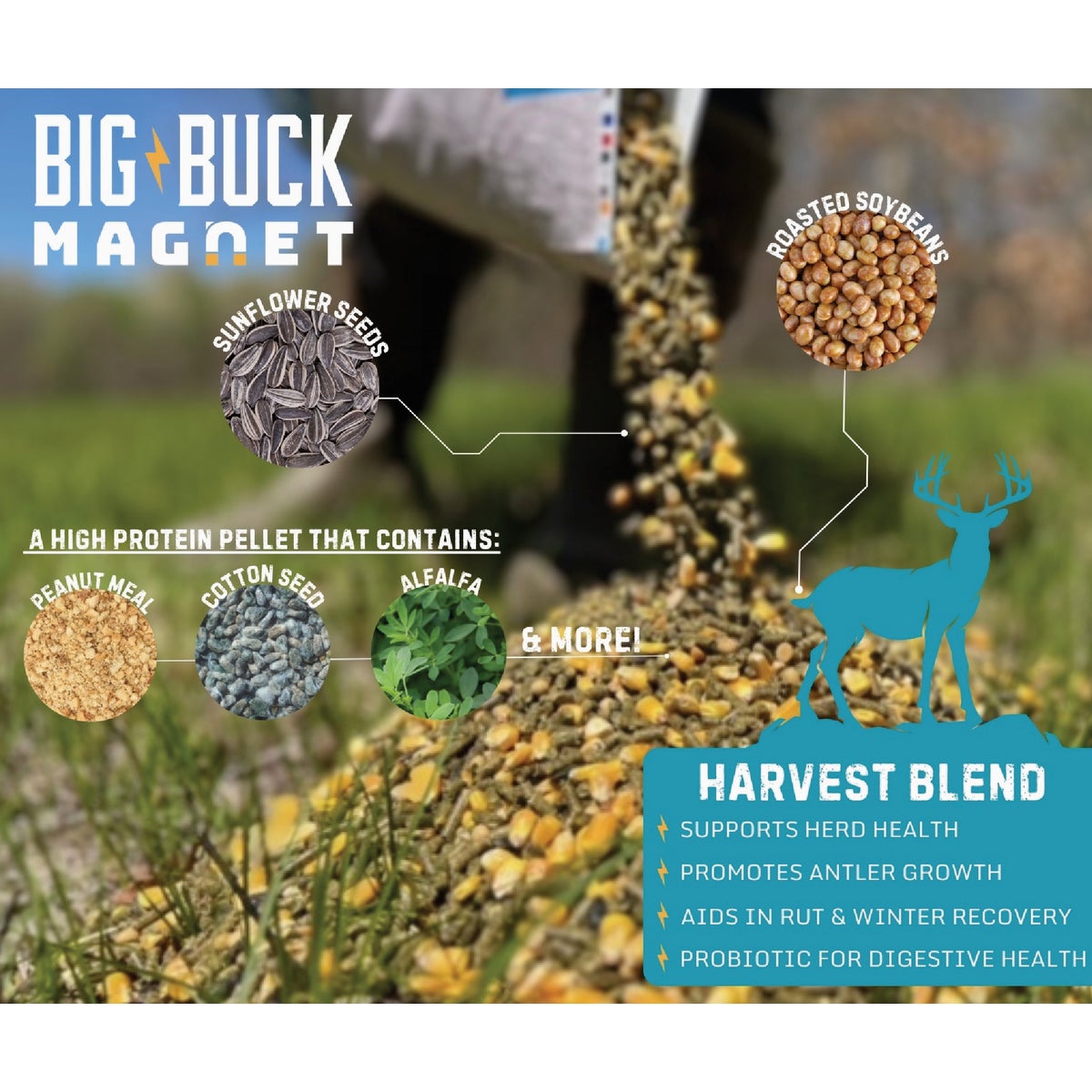 Big Buck Magnet The Harvest Blend 40 Lb. Deer Feed Image 4